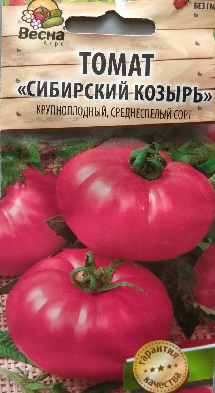 Томат сибирский козырь — описание сорта, урожайность, фото и отзывы садоводов