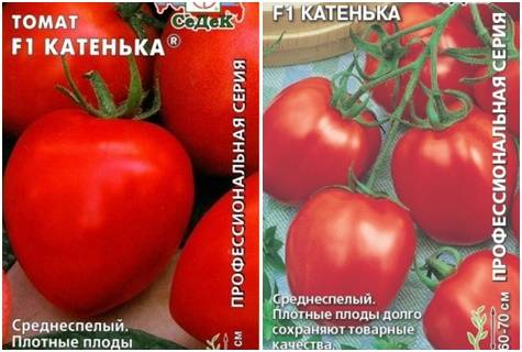 Томат «катя» f1: характеристики и высота куста, описание урожайности сорта, фото-материалы, советы по выращиванию помидор