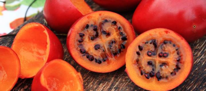 Тамарилло фрукт - фото и описание, как кушать плоды томатного