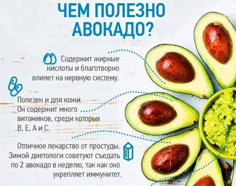 Авокадо – польза и вред, свойства, рецепт салата и противопоказания
