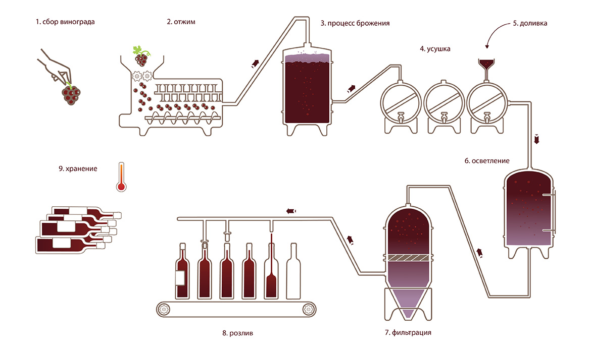 Производство виноградных вин. Вино схема производства. Схема производства виноградных вин. Производство вина технология схема. Технологическая схема производства красных сухих вин.