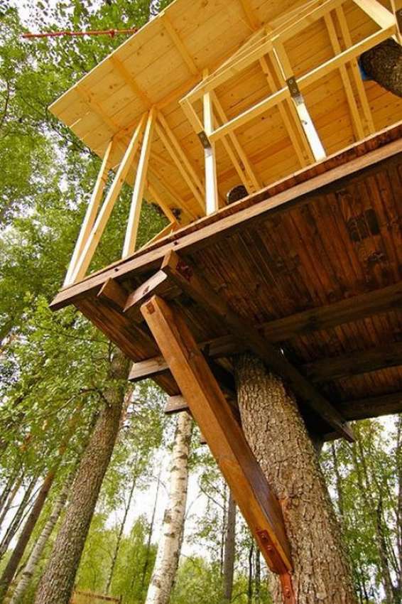 Дом на дереве: выбор дерева, разновидности конструкций и правила их строительства