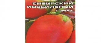 Описание сорта томата сибирский козырь и его характеристики