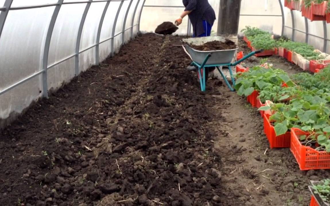 Как приготовить почву для огурцов в теплице весной: какую землю любят огурцы, как ее подготовить и обработать