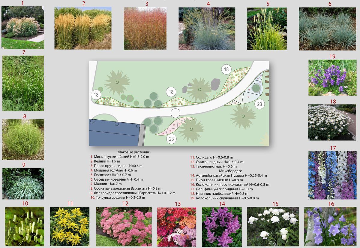 Растения для ландшафтного дизайна: виды, особенности посадки и ухода