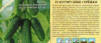 Гибрид огурцов «брейк f1»: »: описание сорта, уход и урожайность