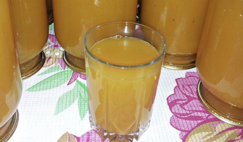 Яблочный сок на зиму в банках через соковыжималку и соковарку - простой рецепт в домашних условиях яблочно-тыквенного и яблочно-морковного сока с мякотью