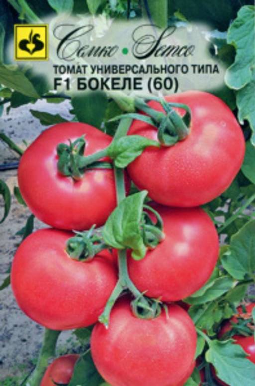 Томат розовое чудо f1: отзывы, фото, урожайность | tomatland.ru
