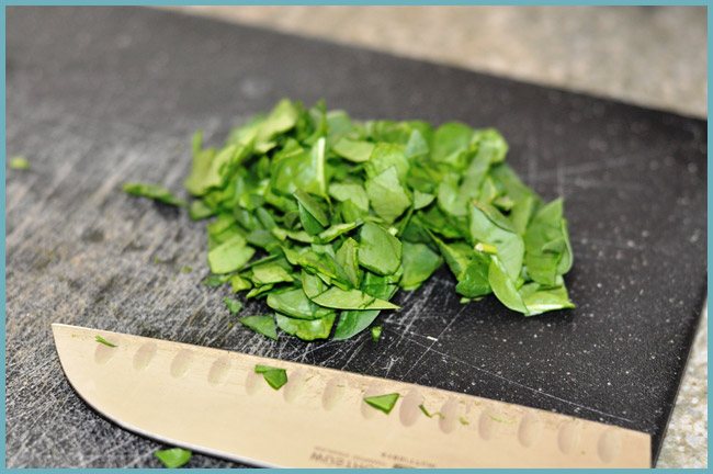 Как правильно заморозить листья шпината в домашних условиях на зиму, рецепты заготовок