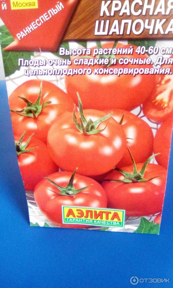 Помидоры красная шапочка: описание сорта и выращивание томата, фото и видео