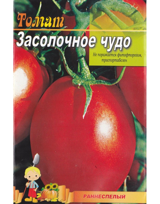 Томат засолочное чудо: характеристика и описание сорта, урожайность с фото