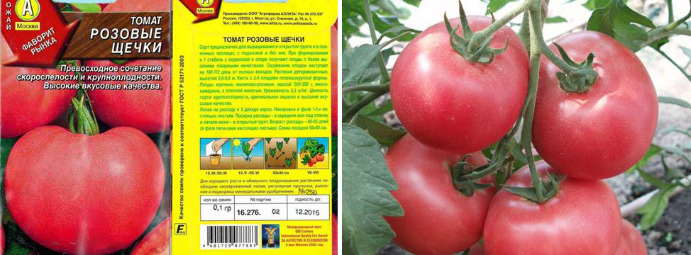 Описание сорта томата толстые щечки и его характеристики - всё про сады