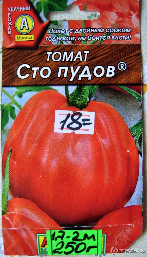 Характеристика и описание сорта томатов сто пудов