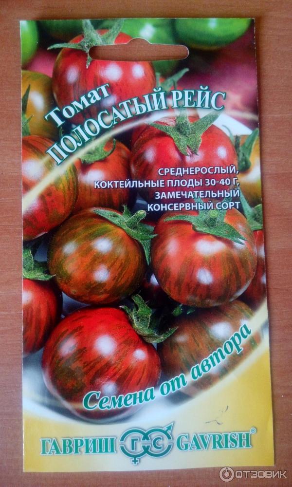 Описание необычного сорта томата Полосатый шоколад и выращивание рассадным методом