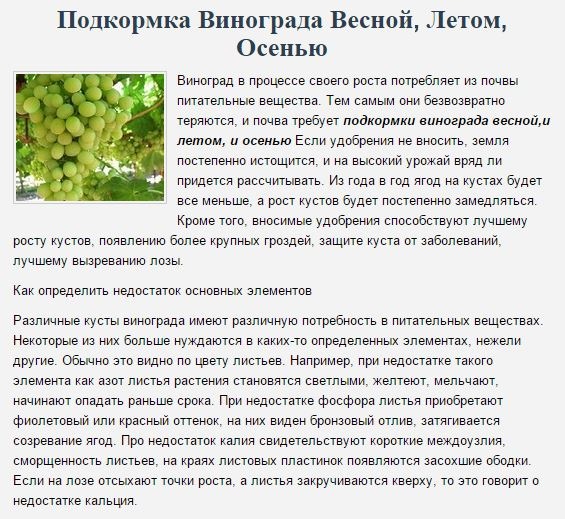 Признаки хлороза винограда и его виды, фото и способы лечения заболевания