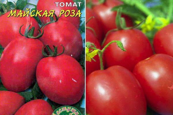 Томат японская роза: отзывы, фото, преимущества и недостатки сорта, его характеристика и описание, а также рекомендации по уходу