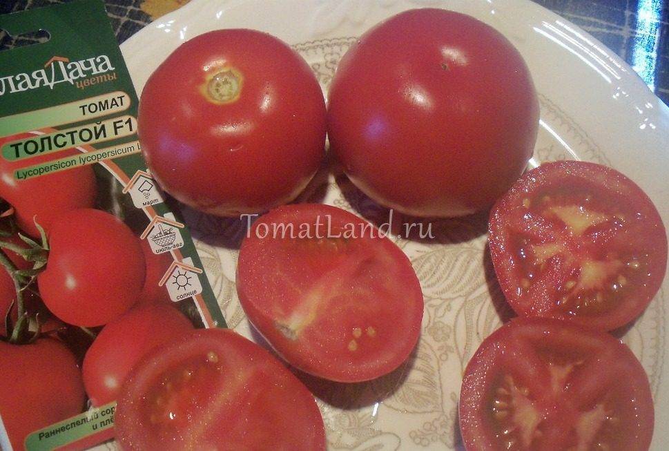 Томат «добрый f1»: отзывы о нем, характеристика и описание сорта – все о томатах. выращивание томатов. сорта и рассада.