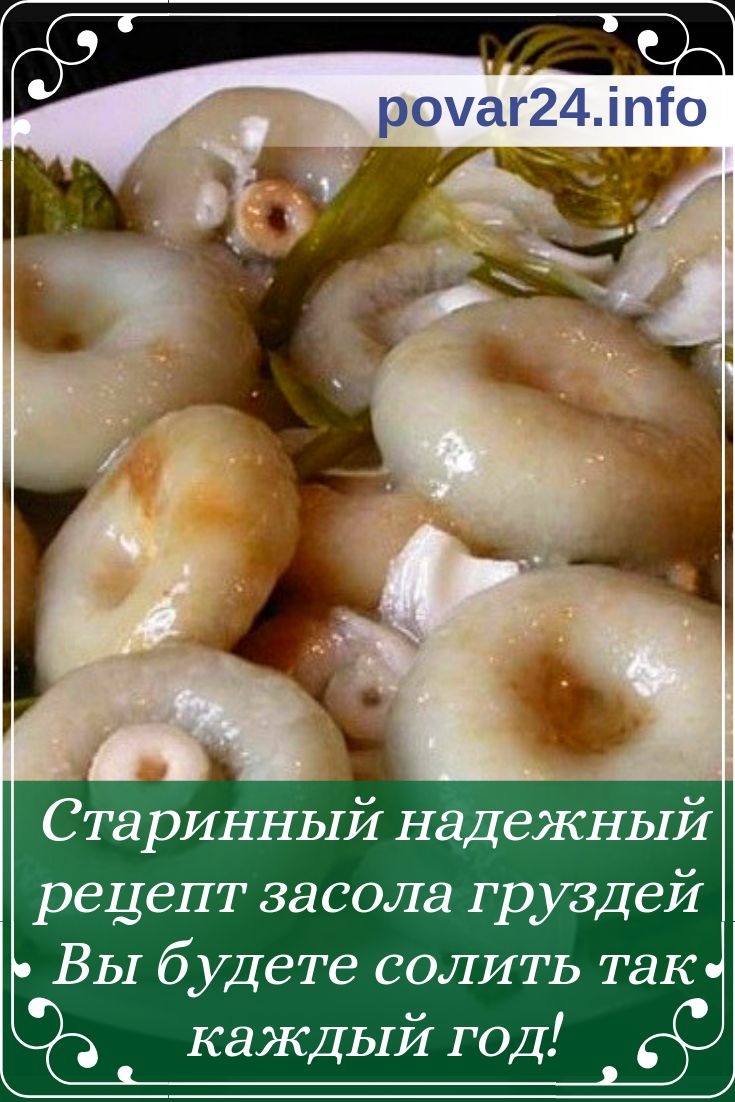 Засолка грибов на зиму: 9 рецептов заготовок в домашних условиях » сусеки