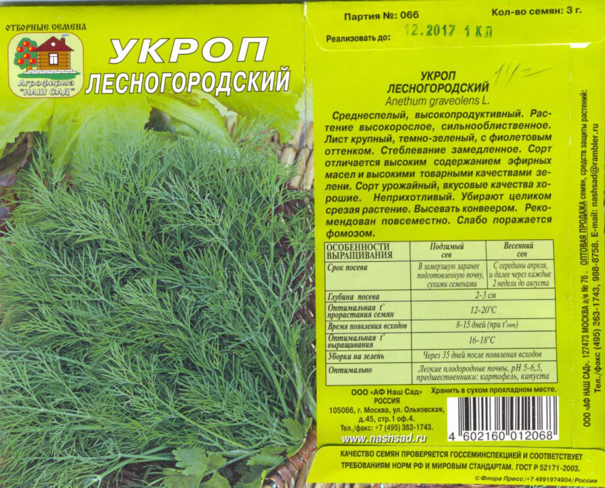 Описание сорта укропа дилл, рекомендации по выращиванию и уходу