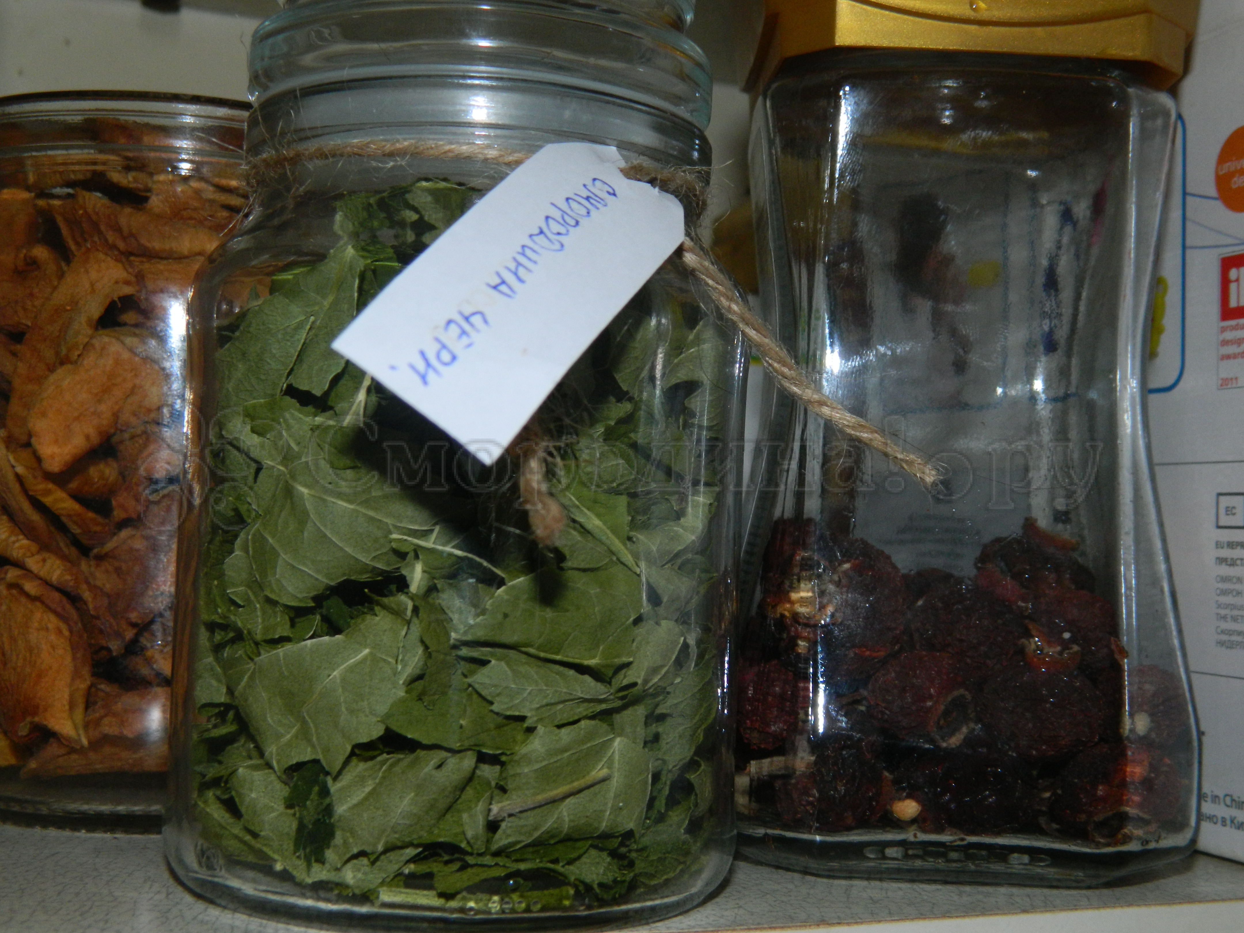 Когда собирать листья смородины для чая: как сушить, заготовка и сбор