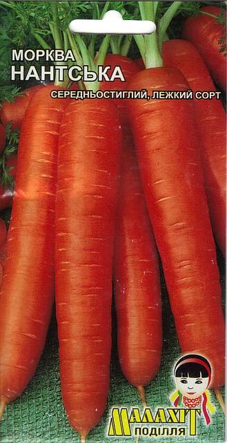 Морковь витаминная 6: полная характеристика и описание сорта, история селекционирования и выращивание, а также достоинства и недостатки, сбор и хранение урожая русский фермер