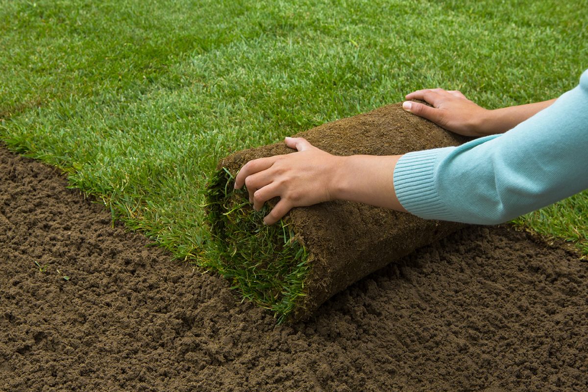 Искусственный газон: виды покрытия и особенности самостоятельной укладки