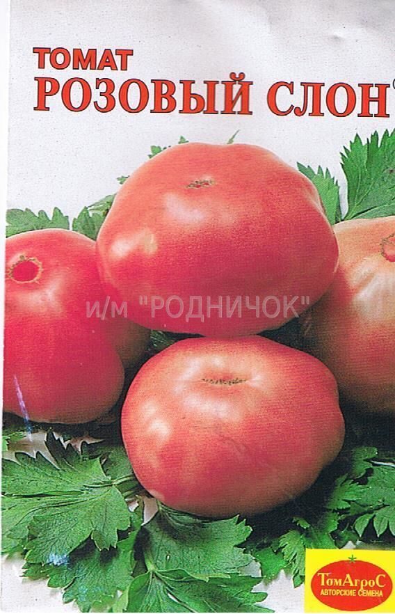 Секреты выращивания томата «розовый слон»: описание сорта, характеристика и фото помидоров