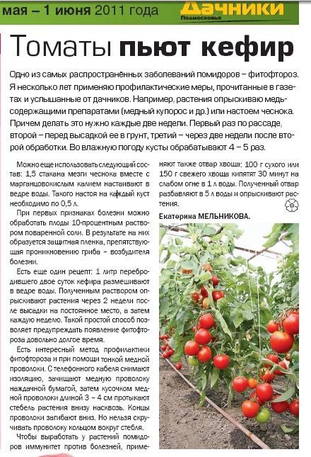 Чем подкормить рассаду помидор чтобы были толстенькие стебли для роста народные средства видео