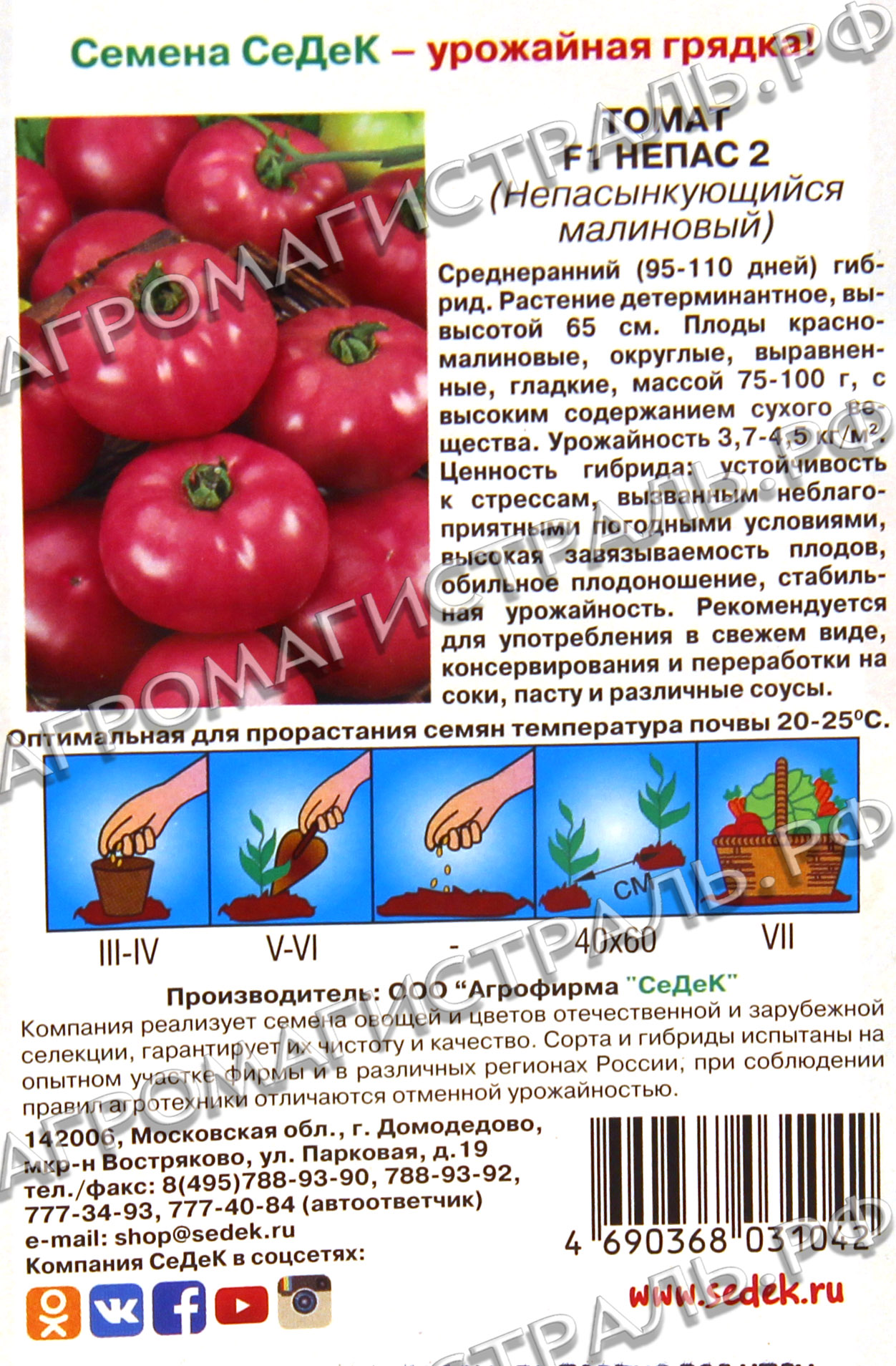 ᐉ томат малиновое виконте: описание сорта, характеристики. фото - orensad198.ru