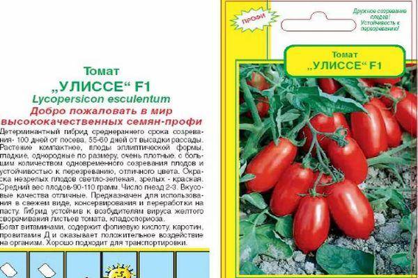 Описание гибридного томата Кибиц и выращивание рассады своими руками