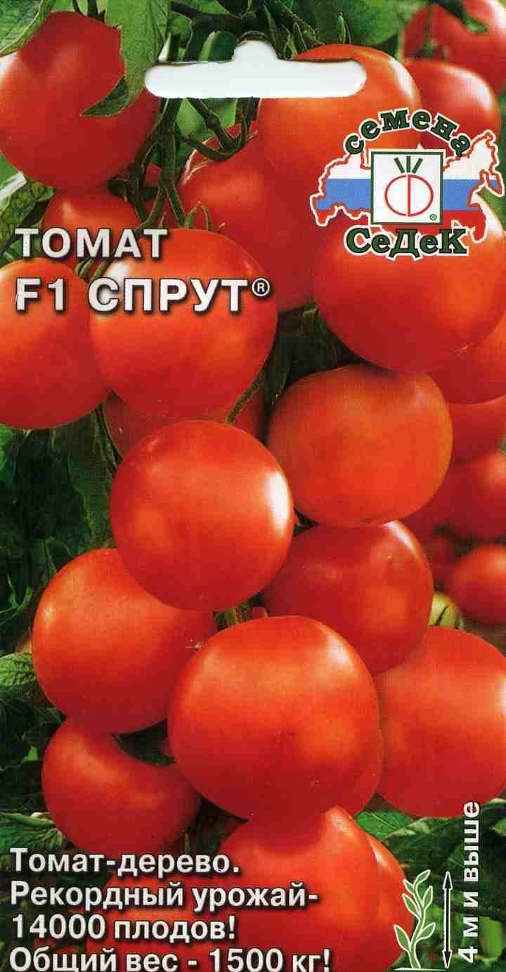 Помидоры спрут: как вырастить, секретная технология выращивания томатов f1 и развитие агротехники русский фермер