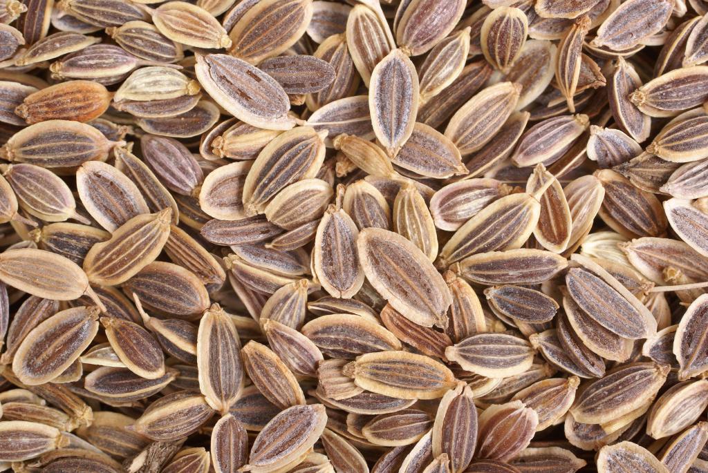 Натуральное лекарство — настои из семян укропа. от чего помогают, как правильно заваривать и пить?