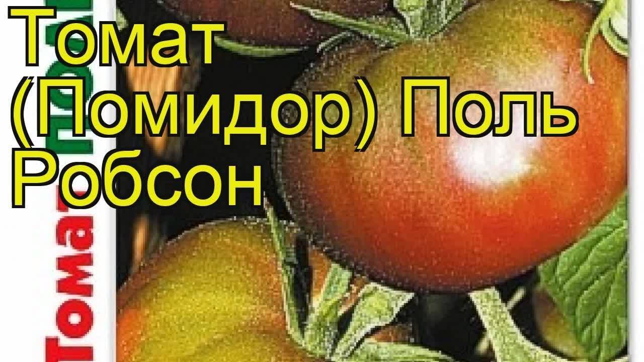 Лучшие сорта черных помидоров (в том числе бордовых, коричневых, синих): их описания и характеристики
