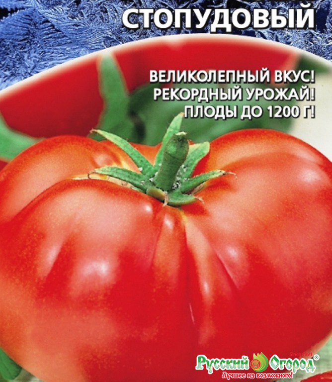 Сорт помидор сахарный пудовичок характеристика плюсы и минусы