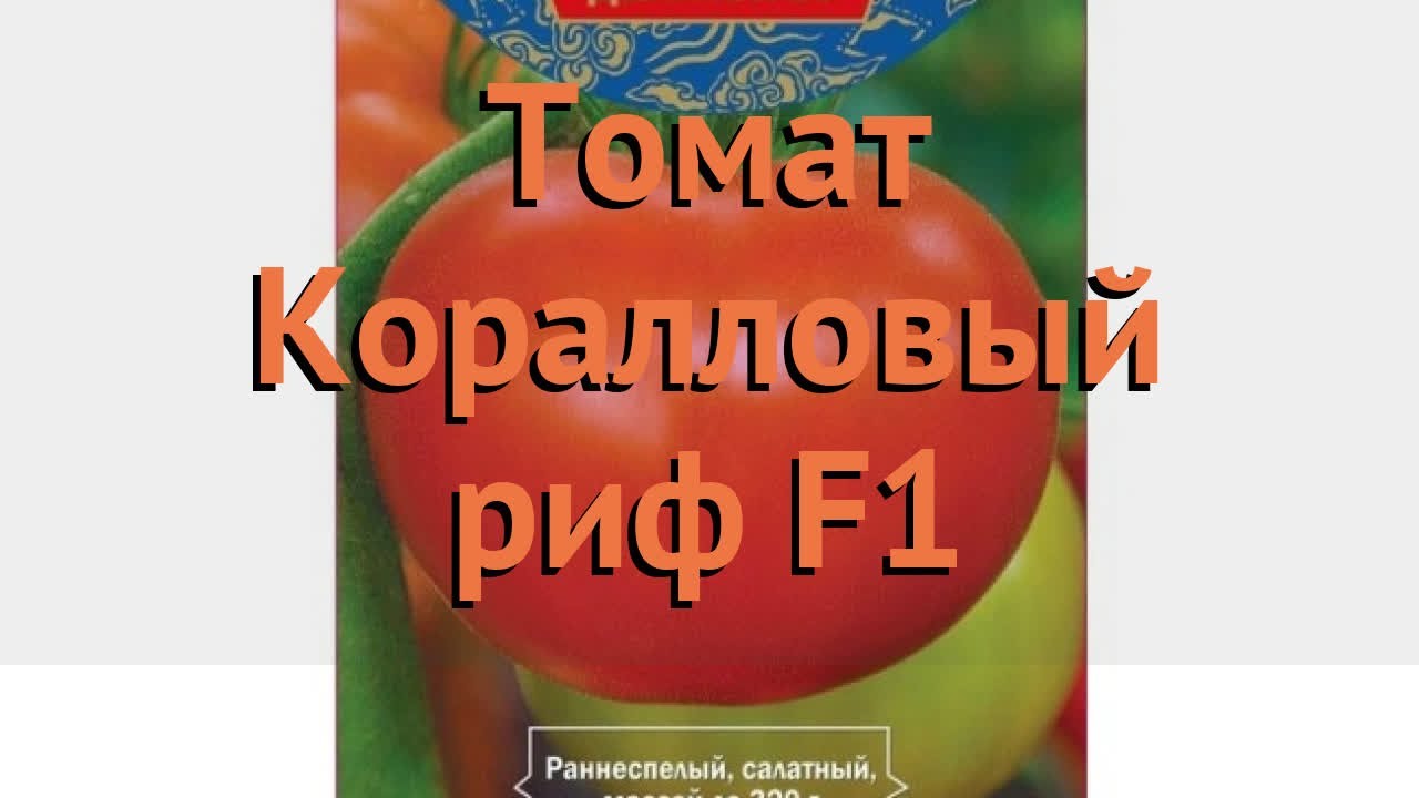 Мощные биф-плоды с отменным вкусом — томат коралловый риф: отзывы и описание сорта