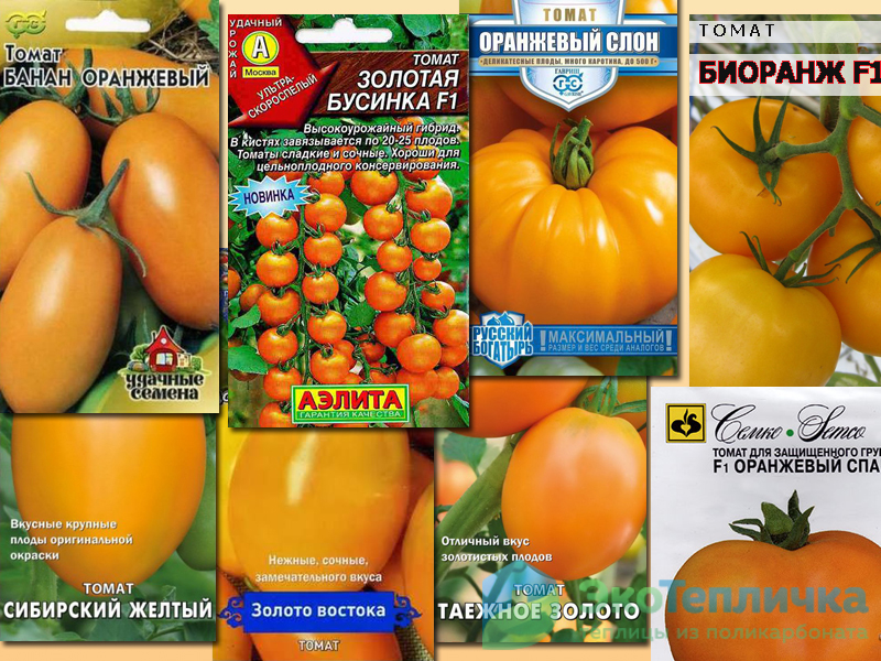 Краткое описание томата Мармелад оранжевый, выращивание и борьба с вредителями