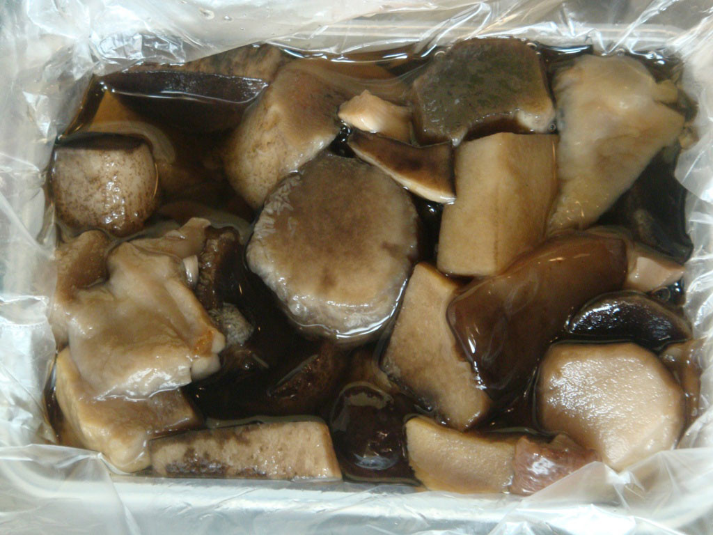 Простые рецепты заготовки белых грибов на зиму
