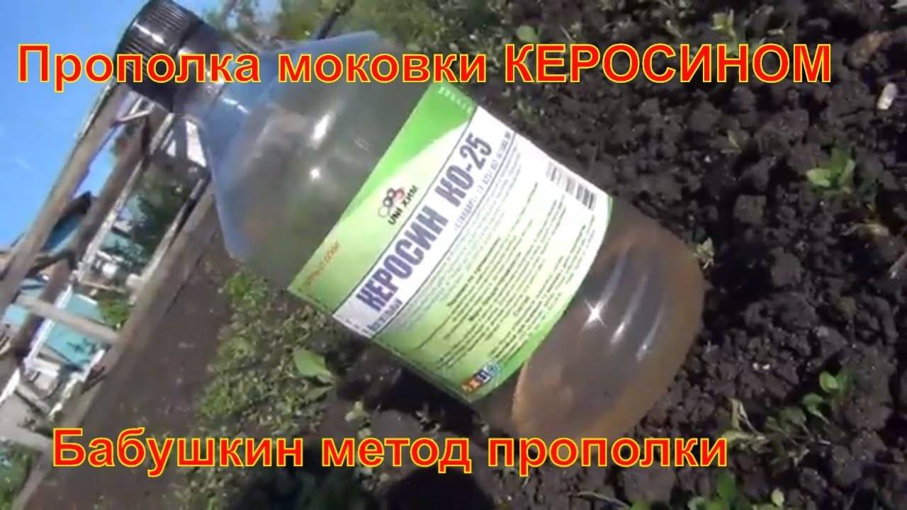 Как обработать морковь керосином от сорняков - agroflora.ru