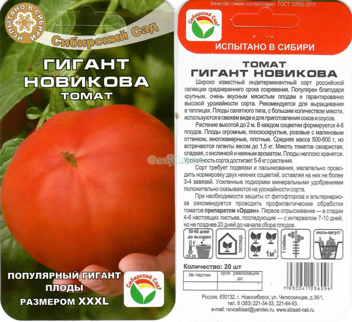 Сорт помидор гигант Новикова