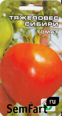 Томат гордость сибири: описание сорта, отзывы, фото | tomatland.ru