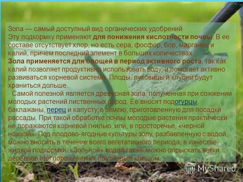 Удобрение сапропель (15 фото): что это такое и как использовать? как добыть своими руками? применение для овощей на огороде и садовом участке