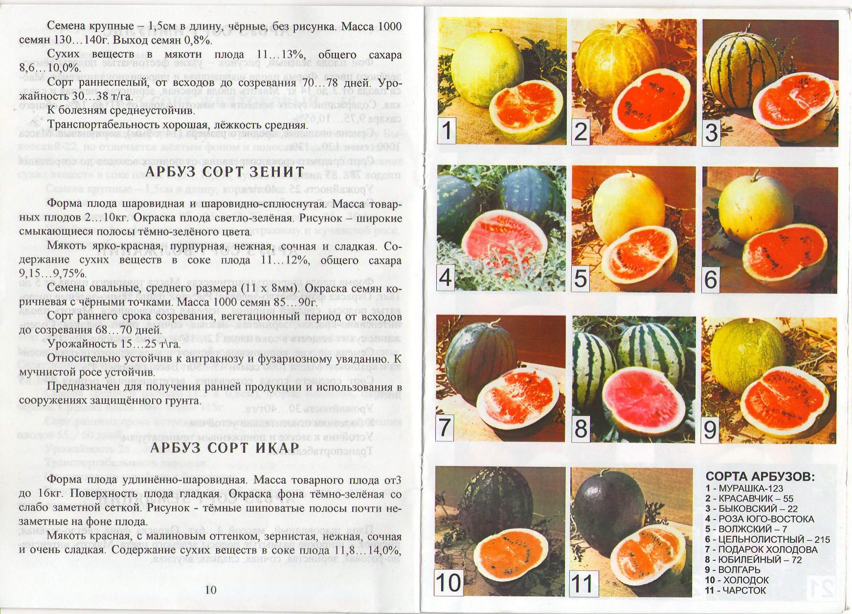 Астраханский арбуз: описание сорта, отзывы, фото