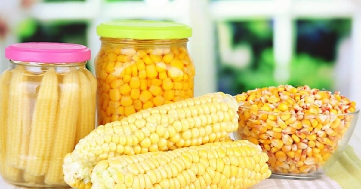 Заготовка кукурузы на зиму в домашних условиях: лучшие рецепты с фото