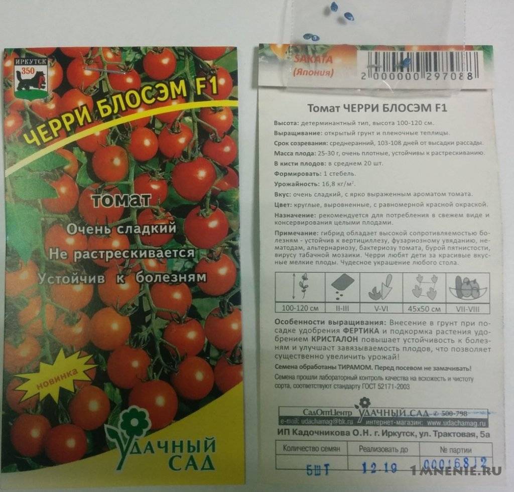 Черрипальчики — подробности агротехники авторского гибрида. описание миниатюрного томата и рекомендации по выращиванию