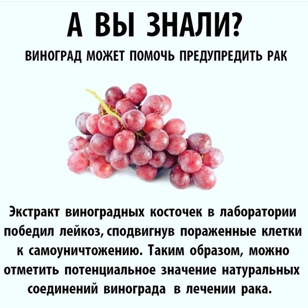 Польза винограда, применение в народной медицине