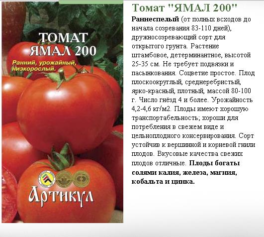 Помидоры ямал: характеристика и описание сорта томатов, фото урожая и отзывы огородников со стажем