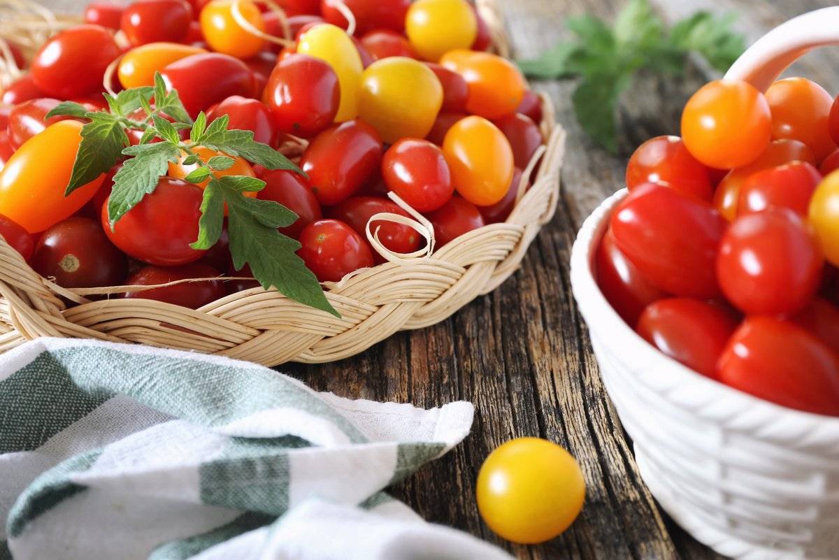 Новые и классические сорта томатов черри для выращивания на даче на supersadovnik.ru