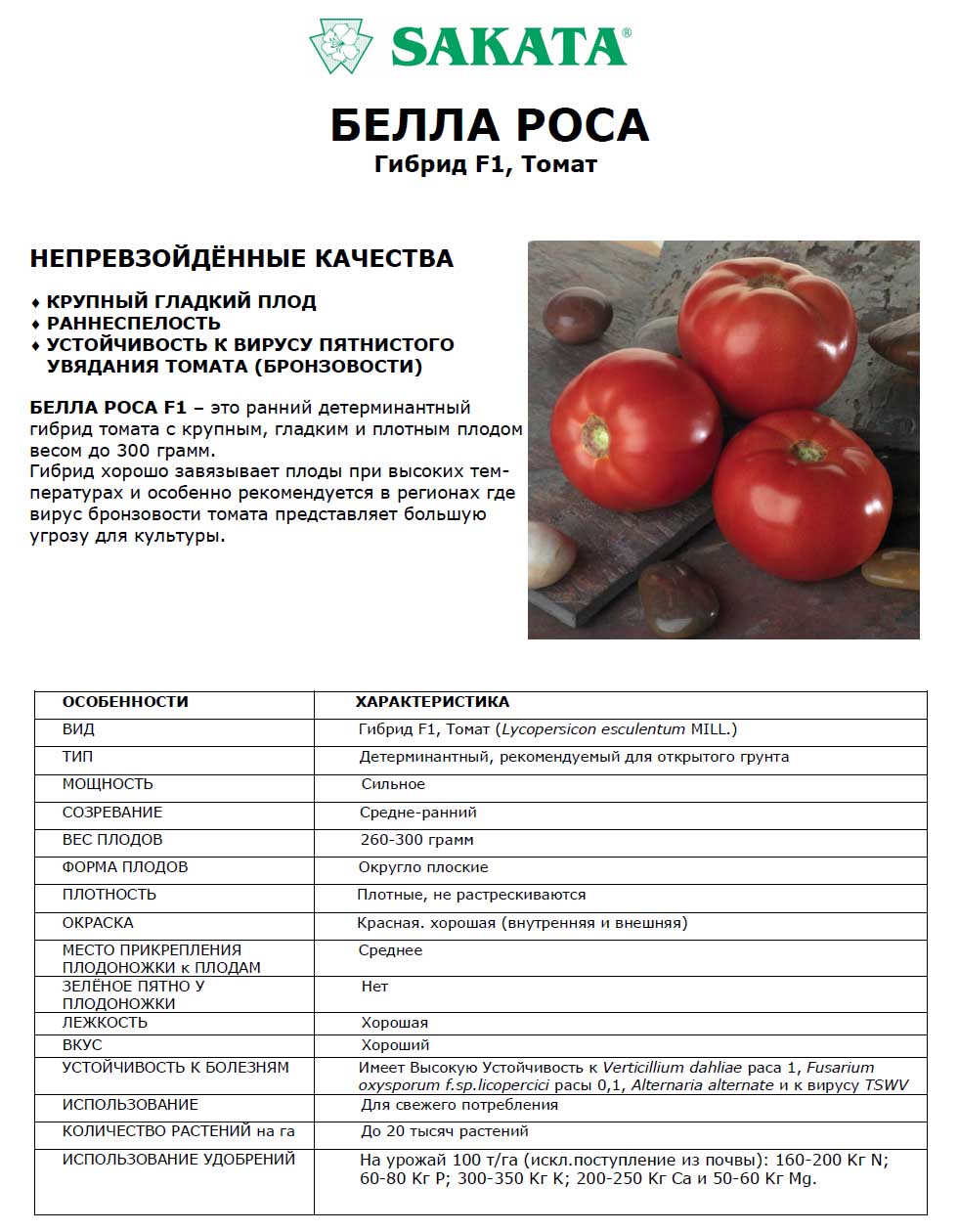 Описание гибридного раннеспелого томата брат 2 и рекомендации по выращиванию