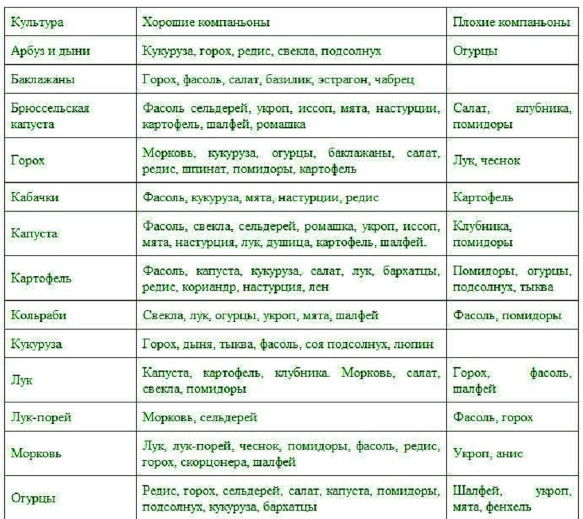 Какие нельзя сажать. Таблица совместимости посадок овощных культур. Таблица совмещения посадки овощей. Соседство овощей в огороде при посадке таблица. Совместимые посадки овощей в огороде таблица.