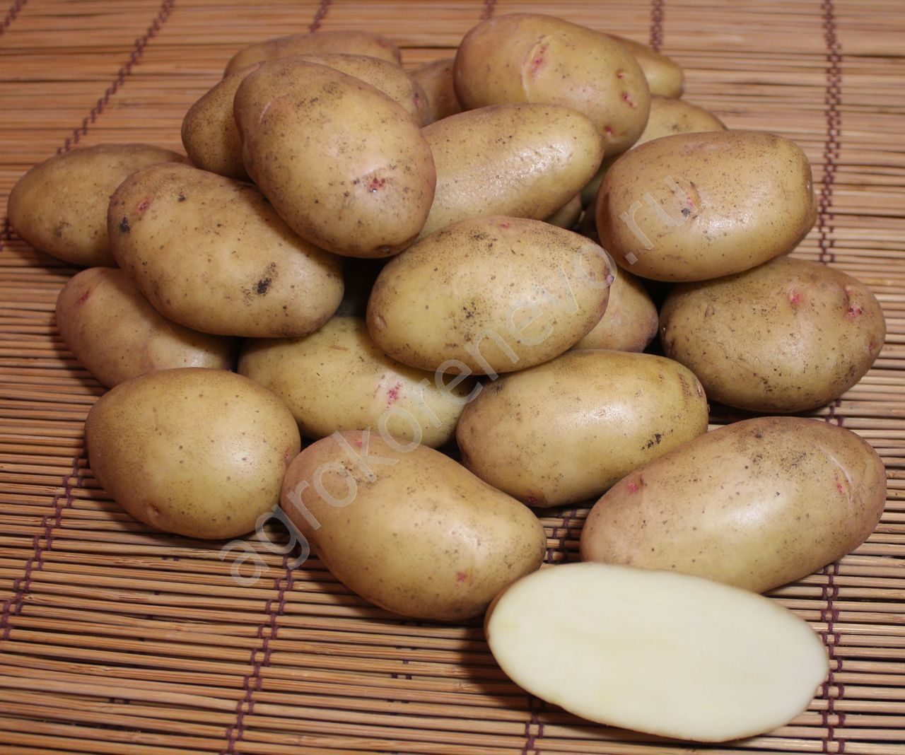 Сорт картофеля джелли: описание и характеристика, отзывы